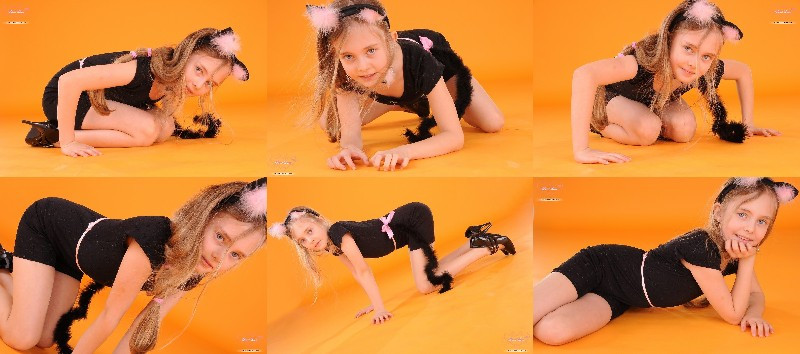 [Image: bn5rwA3Al7.jpg]