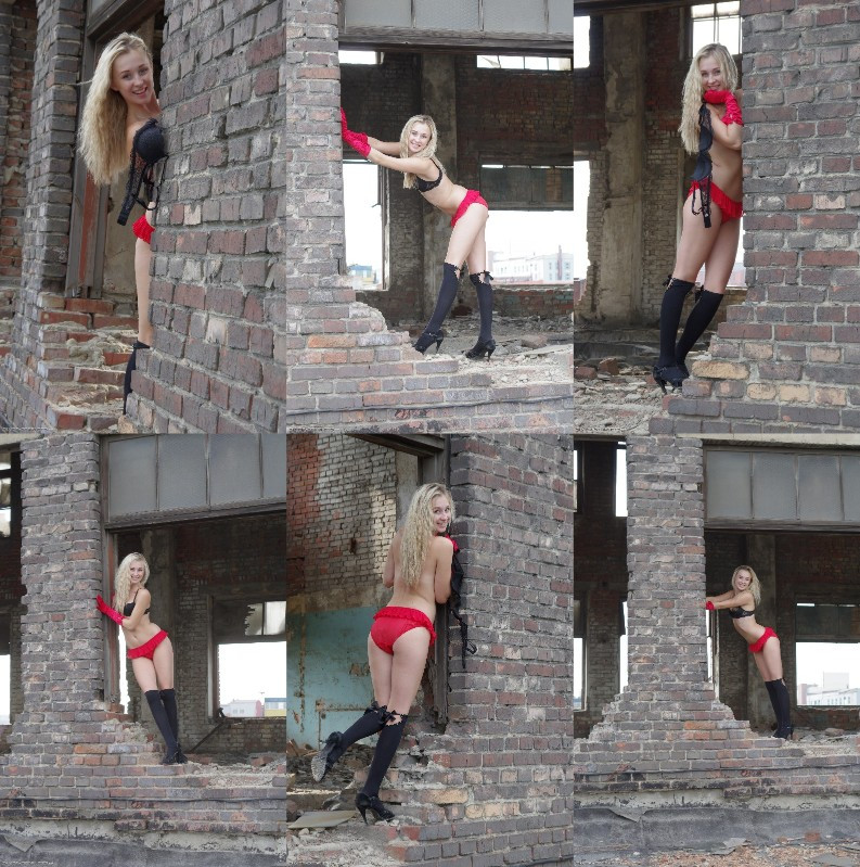 [Image: bn5rwrJOl7.jpg]