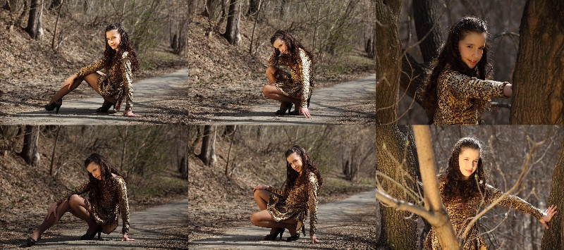 [Image: bn5rx771Q7.jpg]