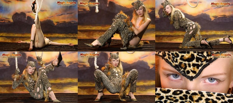 [Image: eM5019Pylp.jpg]