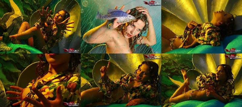 [Image: eM501z9Zlp.jpg]