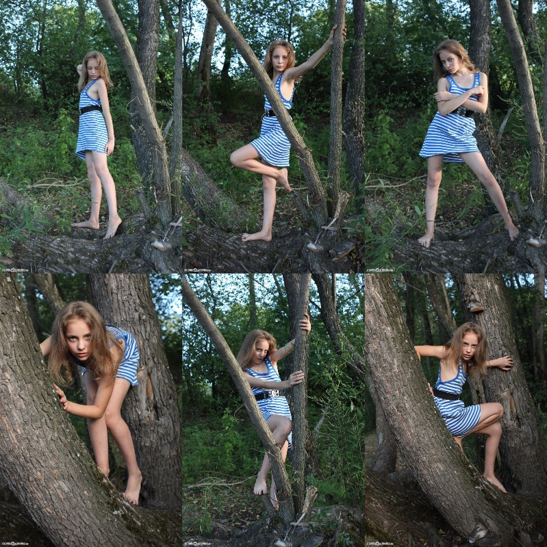 [Image: gN58nxaeQV.jpg]