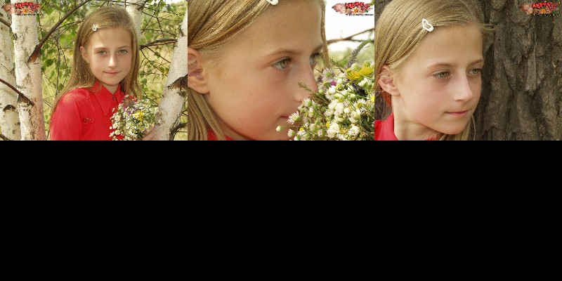 [Image: k2lBrXdBlr.jpg]