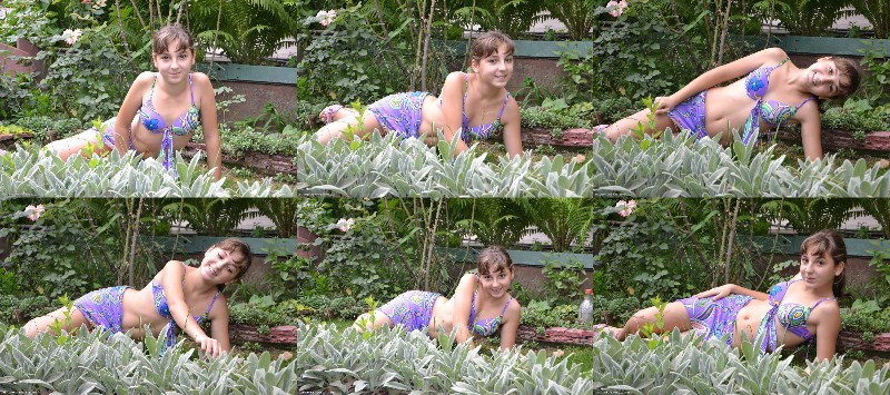 [Image: nR53neAvKq.jpg]