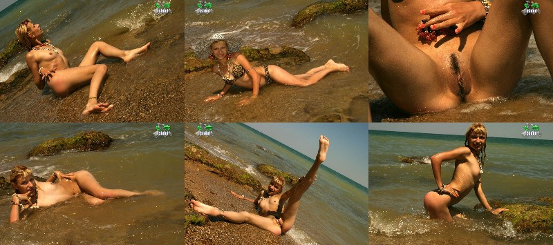 [Image: nR53q79VQq.jpg]