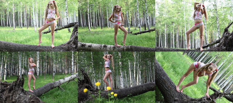 [Image: qx5v0GpYQp.jpg]