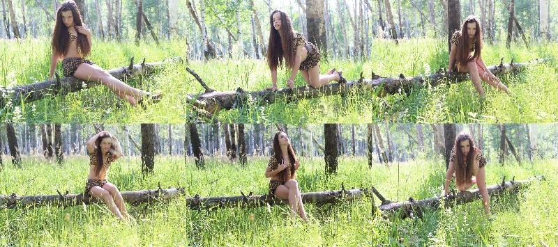 [Image: qxQPmwgwK4.jpg]