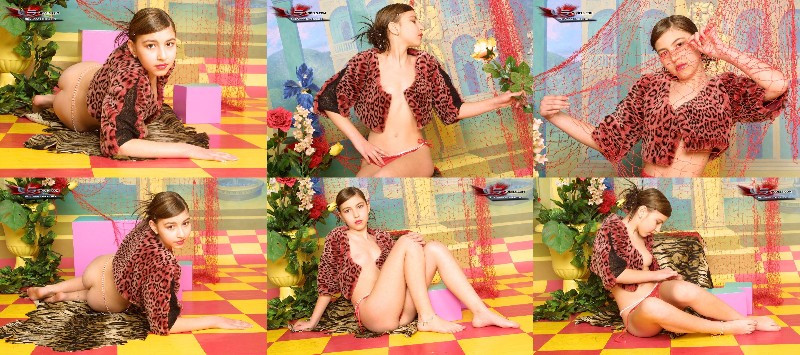 [Image: qxQPmz86K4.jpg]