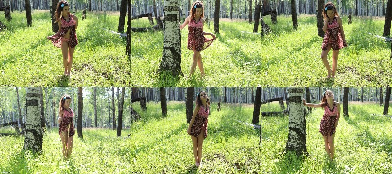 [Image: rPK21jpVQv.jpg]