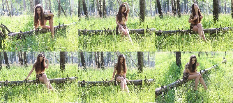 [Image: rPK24aVZlv.jpg]