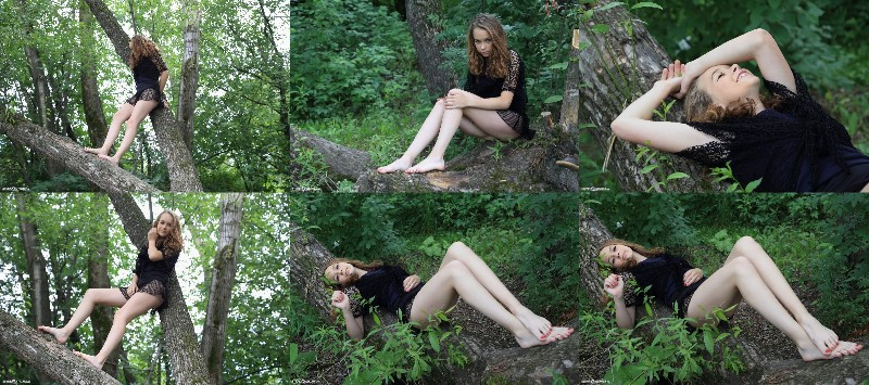 [Image: v4Kj4WEmlL.jpg]