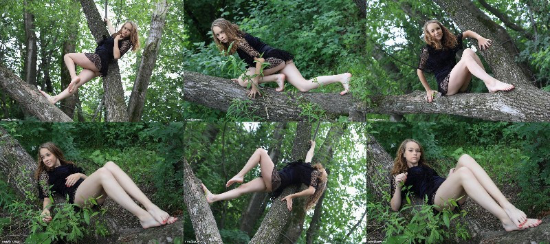 [Image: v4Kj7zR75L.jpg]