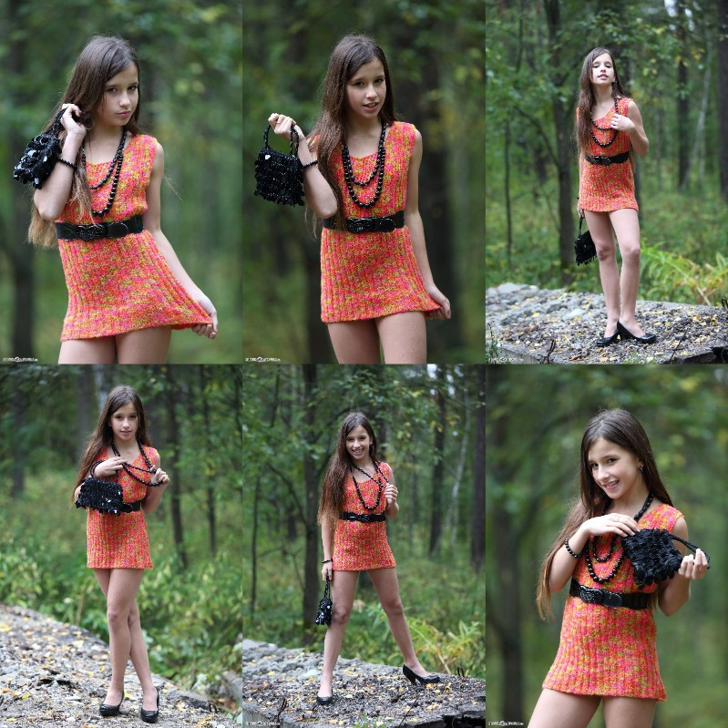 [Image: v4KjXVX1lL.jpg]