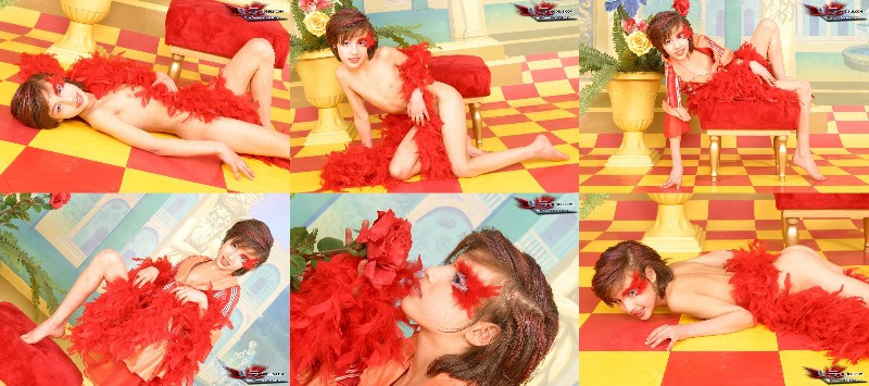 [Image: vVlo9NMZKd.jpg]