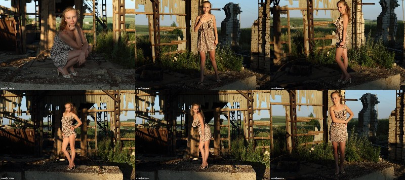 [Image: wnKG6qXoQZ.jpg]