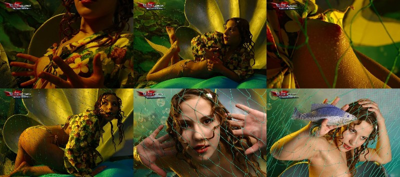 [Image: x2lNqmJD5R.jpg]