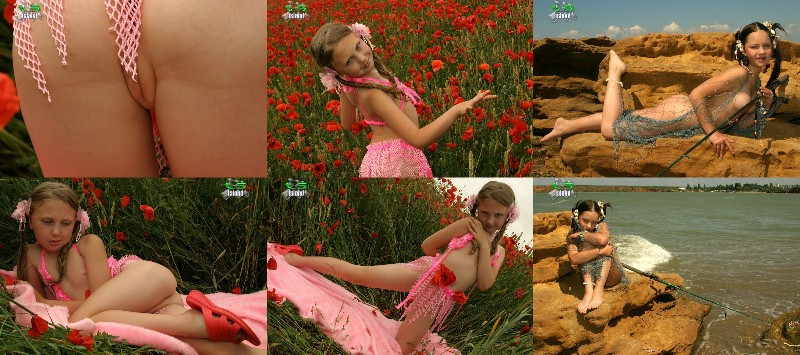 [Image: zVQ6qmLPlJ.jpg]